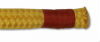Common Whipping